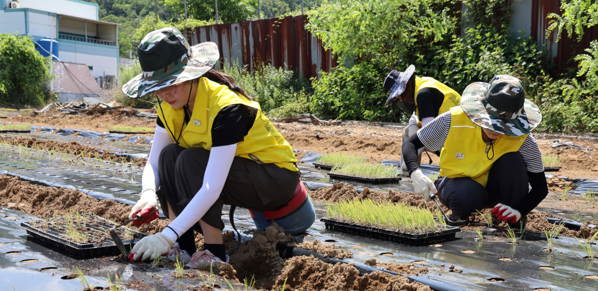오뚜기 농업상생 봉사활동3