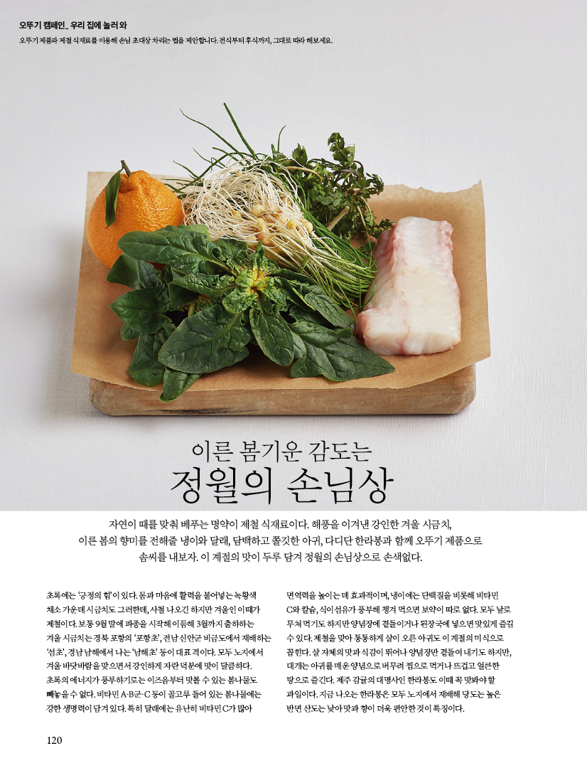 이른 봄기운 감도는 정월의 손님상
자연이 때를 맞춰 베푸는 명약이 제철 식재료이다. 해풍을 이겨낸 강인한 겨울 시금치, 이른 봄의 향미를 전해줄 냉이와 달래, 담백하고 쫄깃한 아귀, 다디단 한라봉과 함께 오뚜기 제품으로 솜씨를 내보자. 이 계절의 맛이 두루 담겨 정월의 손님상으로 손색없다. 초록에는 ‘긍정의 힘’이 있다. 몸과 마음에 활력을 불어넣는 녹황색 채소 가운데 시금치도 그러한데, 사철 나오긴 하지만 겨울인 이때가 제철이다. 보통 9월 말에 파종을 시작해 이듬해 3월까지 출하하는 겨울 시금치는 경북 포항의 ‘포항초’, 전남 신안군 비금도에서 재배하는 ‘섬초’, 경남 남해에서 나는 ‘남해초’ 등이 대표 격이다. 모두 노지에서 겨울 바닷바람을 맞으면서 강인하게 자란 덕분에 맛이 달큼하다. 초록의 에너지가 풍부하기로는 이즈음부터 맛볼 수 있는 봄나물도 빼놓을 수 없다. 비타민 A·B군·C 등이 골고루 들어 있는 봄나물에는 강한생명력이담겨있다.특히달래에는유난히비타민C가많아 면역력을 높이는 데 효과적이며, 냉이에는 단백질을 비롯해 비타민 C와 칼슘, 식이섬유가 풍부해 챙겨 먹으면 보약이 따로 없다. 모두 날로 무쳐 먹기도 하지만 양념장에 곁들이거나 된장국에 넣으면 맛있게 즐길 수 있다. 제철을 맞아 통통하게 살이 오른 아귀도 이 계절의 미식으로 꼽힌다. 살 자체의 맛과 식감이 뛰어나 양념장만 곁들여 내기도 하지만, 대개는 아귀를 매운 양념으로 버무려 찜으로 먹거나 뜨겁고 얼큰한 탕으로 즐긴다. 제주 감귤의 대명사인 한라봉도 이때 꼭 맛봐야 할 과일이다. 지금 나오는 한라봉은 모두 노지에서 재배해 당도는 높은 반면산도는낮아맛과향이더욱편안한것이특징이다.