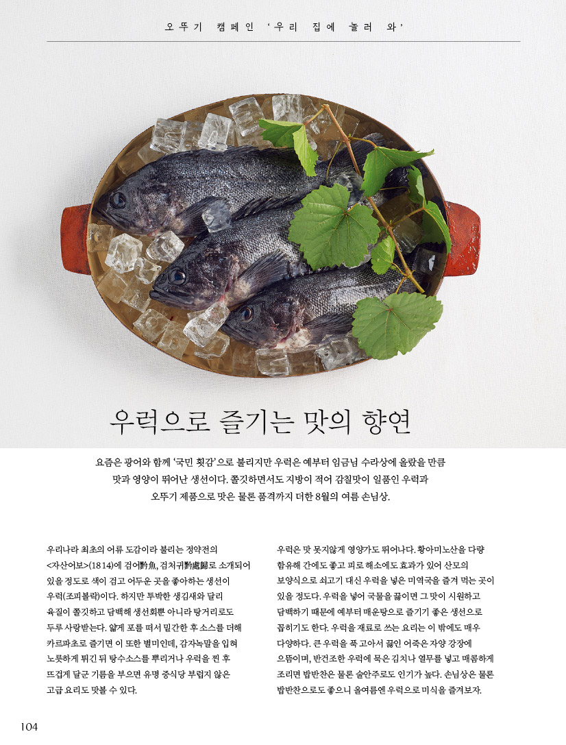 오뚜기캠페인‘우리집에놀러와’



우럭으로 즐기는 맛의 향연

요즘은 광어와 함께 ‘국민 횟감’으로 불리지만 우럭은 예부터 임금님 수라상에 올랐을 만큼 맛과 영양이 뛰어난 생선이다. 쫄깃하면서도 지방이 적어 감칠맛이 일품인 우럭과 오뚜기 제품으로 맛은 물론 품격까지 더한 8월의 여름 손님상.



우리나라 최초의 어류 도감이라 불리는 정약전의 &lt;자산어보&gt;(1814)에 검어黔魚, 검처귀黔處歸로 소개되어 있을 정도로 색이 검고 어두운 곳을 좋아하는 생선이 우럭(조피볼락)이다. 하지만 투박한 생김새와 달리

육질이 쫄깃하고 담백해 생선회뿐 아니라 탕거리로도 두루 사랑받는다. 얇게 포를 떠서 밑간한 후 소스를 더해 카르파초로 즐기면 이 또한 별미인데, 감자녹말을 입혀 노릇하게 튀긴 뒤 탕수소스를 뿌리거나 우럭을 찐 후 뜨겁게 달군 기름을 부으면 유명 중식당 부럽지 않은

고급 요리도 맛볼 수 있다.

우럭은 맛 못지않게 영양가도 뛰어나다. 황아미노산을 다량 함유해 간에도 좋고 피로 해소에도 효과가 있어 산모의 보양식으로 쇠고기 대신 우럭을 넣은 미역국을 즐겨 먹는 곳이 있을 정도다. 우럭을 넣어 국물을 끓이면 그 맛이 시원하고 담백하기 때문에 예부터 매운탕으로 즐기기 좋은 생선으로 꼽히기도 한다. 우럭을 재료로 쓰는 요리는 이 밖에도 매우 다양하다. 큰 우럭을 푹 고아서 끓인 어죽은 자양 강장에 으뜸이며, 반건조한 우럭에 묵은 김치나 열무를 넣고 매콤하게 조리면 밥반찬은 물론 술안주로도 인기가 높다. 손님상은 물론 밥반찬으로도 좋으니 올여름엔 우럭으로 미식을 즐겨보자.

