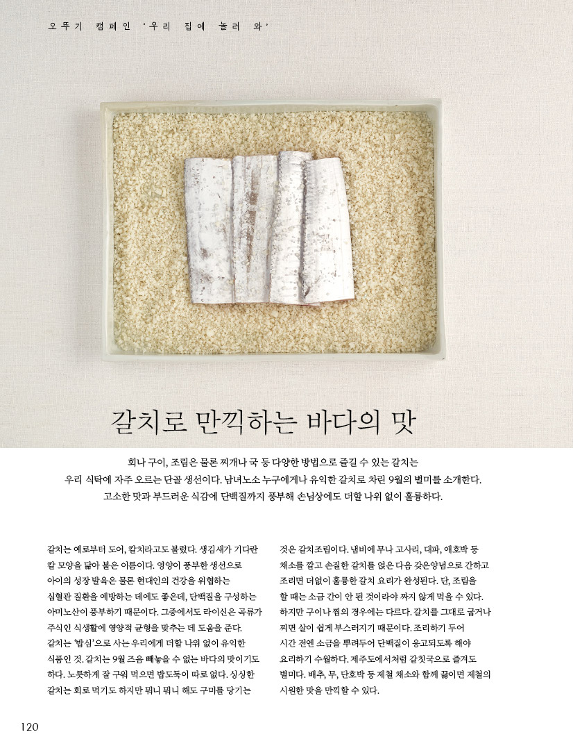 오뚜기캠페인‘우리집에놀러와’



갈치로 만끽하는 바다의 맛

회나 구이, 조림은 물론 찌개나 국 등 다양한 방법으로 즐길 수 있는 갈치는

우리 식탁에 자주 오르는 단골 생선이다. 남녀노소 누구에게나 유익한 갈치로 차린 9월의 별미를 소개한다. 고소한 맛과 부드러운 식감에 단백질까지 풍부해 손님상에도 더할 나위 없이 훌륭하다.



갈치는 예로부터 도어, 칼치라고도 불렀다. 생김새가 기다란 칼 모양을 닮아 붙은 이름이다. 영양이 풍부한 생선으로 아이의 성장 발육은 물론 현대인의 건강을 위협하는

심혈관 질환을 예방하는 데에도 좋은데, 단백질을 구성하는 아미노산이 풍부하기 때문이다. 그중에서도 라이신은 곡류가 주식인 식생활에 영양적 균형을 맞추는 데 도움을 준다. 갈치는 ‘밥심’으로 사는 우리에게 더할 나위 없이 유익한 식품인 것. 갈치는 9월 즈음 빼놓을 수 없는 바다의 맛이기도 하다. 노릇하게 잘 구워 먹으면 밥도둑이 따로 없다. 싱싱한 갈치는 회로 먹기도 하지만 뭐니 뭐니 해도 구미를 당기는

것은 갈치조림이다. 냄비에 무나 고사리, 대파, 애호박 등 채소를 깔고 손질한 갈치를 얹은 다음 갖은양념으로 간하고 조리면 더없이 훌륭한 갈치 요리가 완성된다. 단, 조림을

할 때는 소금 간이 안 된 것이라야 짜지 않게 먹을 수 있다. 하지만 구이나 찜의 경우에는 다르다. 갈치를 그대로 굽거나 찌면 살이 쉽게 부스러지기 때문이다. 조리하기 두어

시간 전엔 소금을 뿌려두어 단백질이 응고되도록 해야 요리하기 수월하다. 제주도에서처럼 갈칫국으로 즐겨도 별미다. 배추, 무, 단호박 등 제철 채소와 함께 끓이면 제철의 시원한 맛을 만끽할 수 있다.

