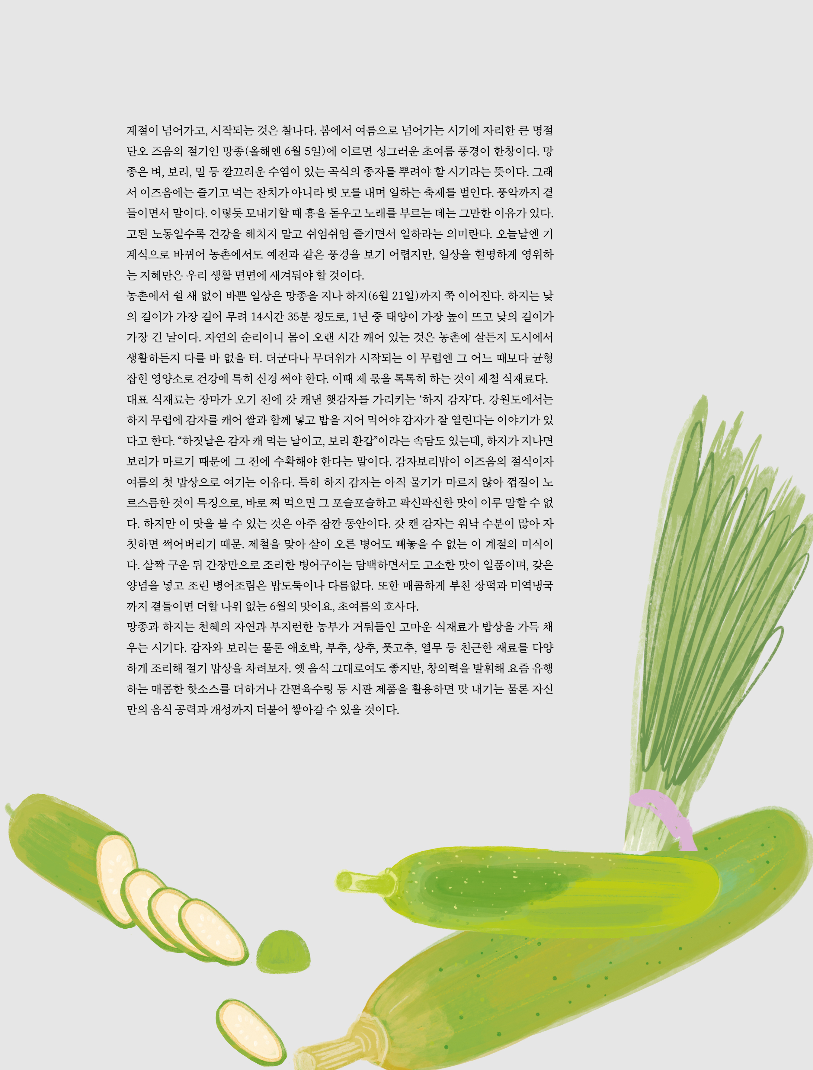 계절이 넘어가고 , 시작되는 것은 찰나다 . 봄에서 여름으로 넘어가는 시기에 자리한 큰 명절 단오 즈음의 절기인 망종 ( 올해엔 6 월 5 일 ) 에 이르면 싱그러운 초여름 풍경이 한창이다 . 망종은 벼 , 보리 , 밀 등 깔끄러운 수염이 있는 곡식의 종자를 뿌려야 할 시기라는 뜻이다 . 그래서 이즈음에는 즐기고 먹는 잔치가 아니라 볏 모를 내며 일하는 축제를 벌인다 . 풍악까지 곁들이면서 말이다 . 이렇듯 모내기할 때 흥을 돋우고 노래를 부르는 데는 그만한 이유가 있다 . 고된 노동일수록 건강을 해치지 말고 쉬엄쉬엄 즐기면서 일하라는 의미란다 . 오늘날엔 기계식으로 바뀌어 농촌에서도 예전과 같은 풍경을 보기 어렵지만 , 일상을 현명하게 영위하는 지혜만은 우리 생활 면면에 새겨둬야 할 것이다 .

농촌에서 쉴 새 없이 바쁜 일상은 망종을 지나 하지 (6 월 21 일 ) 까지 쭉 이어진다 . 하지는 낮의 길이가 가장 길어 무려 14 시간 35 분 정도로 , 1 년 중 태양이 가장 높이 뜨고 낮의 길이가 가장 긴 날이다 . 자연의 순리이니 몸이 오랜 시간 깨어 있는 것은 농촌에 살든지 도시에서 생활하든지 다를 바 없을 터 . 더군다나 무더위가 시작되는 이 무렵엔 그 어느 때보다 균형 잡힌 영양소로 건강에 특히 신경 써야 한다 . 이때 제 몫을 톡톡히 하는 것이 제철 식재료다 .

대표 식재료는 장마가 오기 전에 갓 캐낸 햇감자를 가리키는 ‘ 하지 감자 ’ 다 . 강원도에서는 하지 무렵에 감자를 캐어 쌀과 함께 넣고 밥을 지어 먹어야 감자가 잘 열린다는 이야기가 있다고 한다 . “ 하짓날은 감자 캐 먹는 날이고 , 보리 환갑 ” 이라는 속담도 있는데 , 하지가 지나면 보리가 마르기 때문에 그 전에 수확해야 한다는 말이다 . 감자보리밥이 이즈음의 절식이자 여름의 첫 밥상으로 여기는 이유다 . 특히 하지 감자는 아직 물기가 마르지 않아 껍질이 노르스름한 것이 특징으로 , 바로 쪄 먹으면 그 포슬포슬하고 팍신팍신한 맛이 이루 말할 수 없다 . 하지만 이 맛을 볼 수 있는 것은 아주 잠깐 동안이다 . 갓 캔 감자는 워낙 수분이 많아 자칫하면 썩어버리기 때문 . 제철을 맞아 살이 오른 병어도 빼놓을 수 없는 이 계절의 미식이다 . 살짝 구운 뒤 간장만으로 조리한 병어구이는 담백하면서도 고소한 맛이 일품이며 , 갖은양념을 넣고 조린 병어조림은 밥도둑이나 다름없다 . 또한 매콤하게 부친 장떡과 미역냉국까지 곁들이면 더할 나위 없는 6 월의 맛이요 , 초여름의 호사다 .

망종과 하지는 천혜의 자연과 부지런한 농부가 거둬들인 고마운 식재료가 밥상을 가득 채우는 시기다 . 감자와 보리는 물론 애호박 , 부추 , 상추 , 풋고추 , 열무 등 친근한 재료를 다양하게 조리해 절기 밥상을 차려보자 . 옛 음식 그대로여도 좋지만 , 창의력을 발휘해 요즘 유행하는 매콤한 핫소스를 더하거나 간편육수링 등 시판 제품을 활용하면 맛 내기는 물론 자신만의 음식 공력과 개성까지 더불어 쌓아갈 수 있을 것이다 .