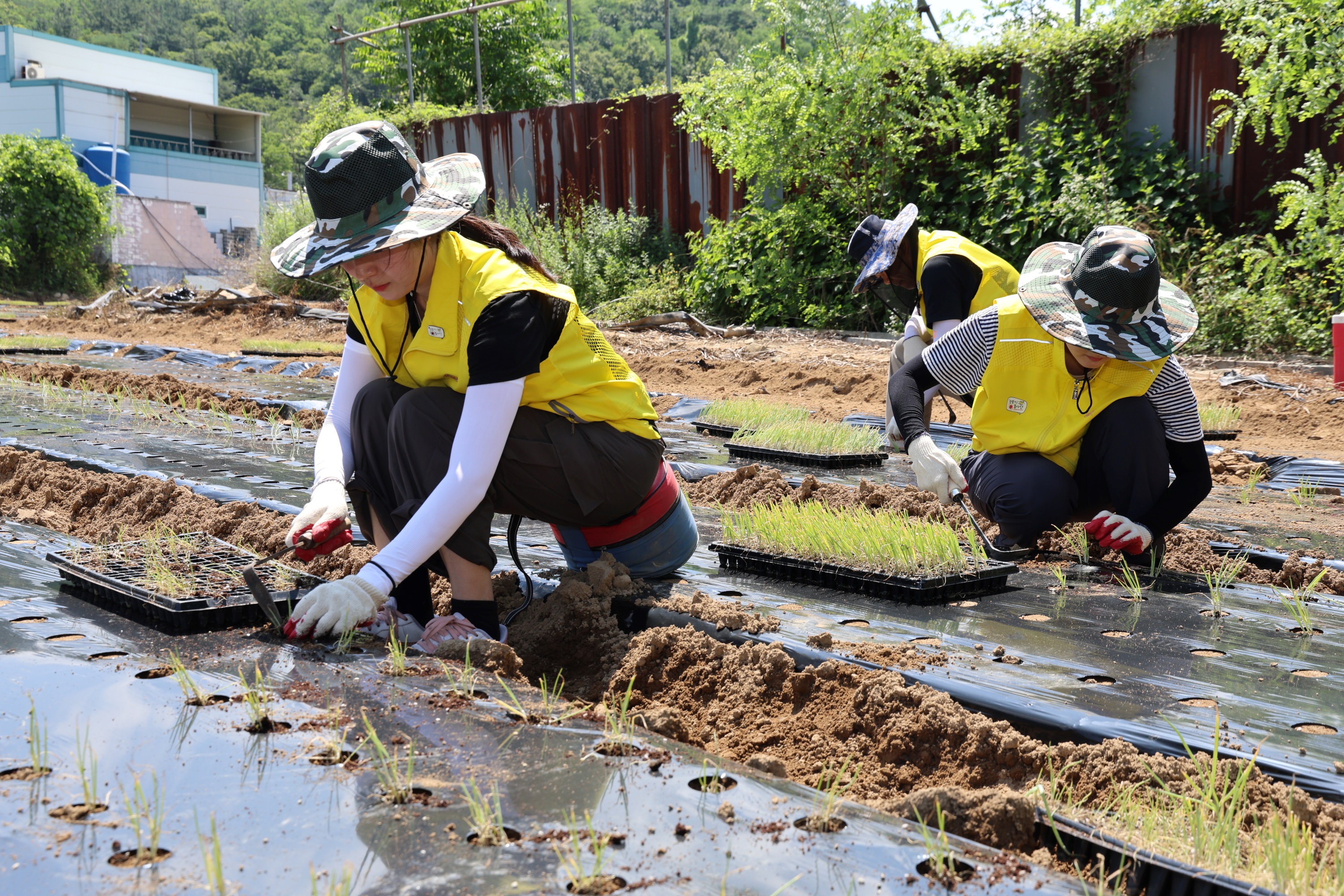 오뚜기'한국농업 상생발전 프로젝트'
